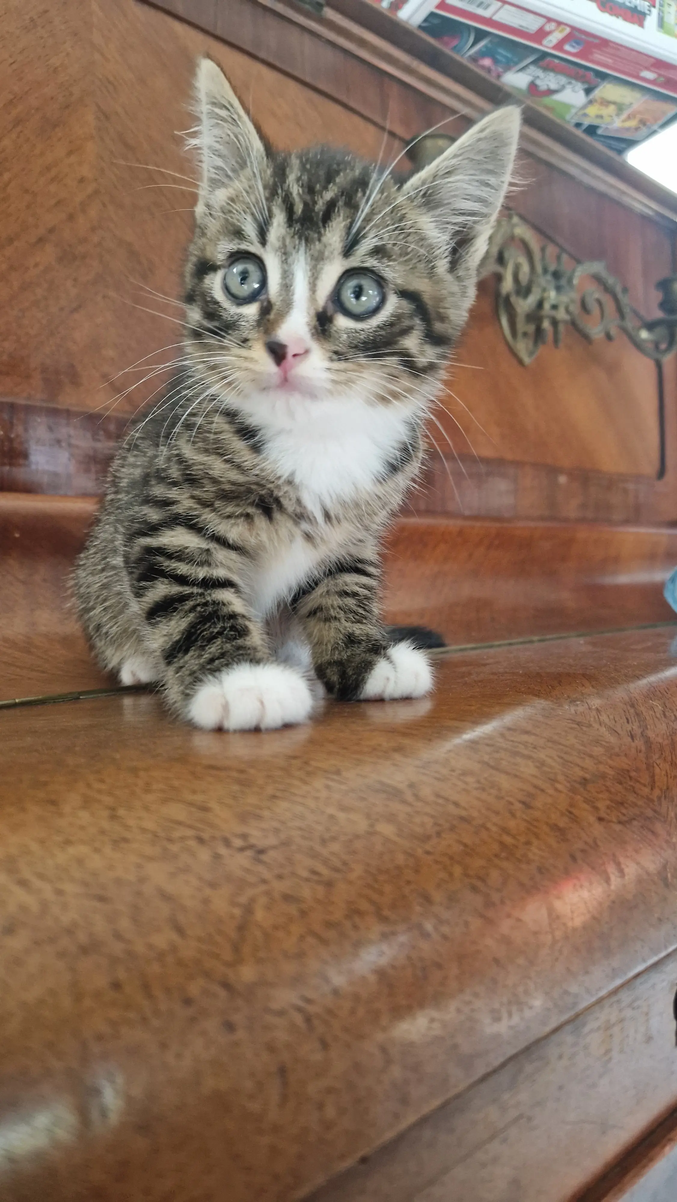 Achille