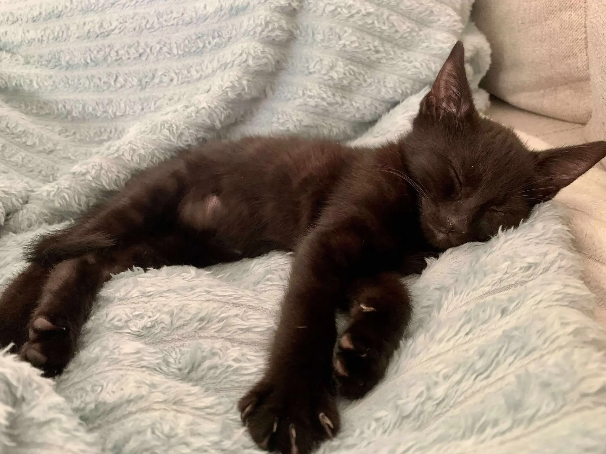 Sirius