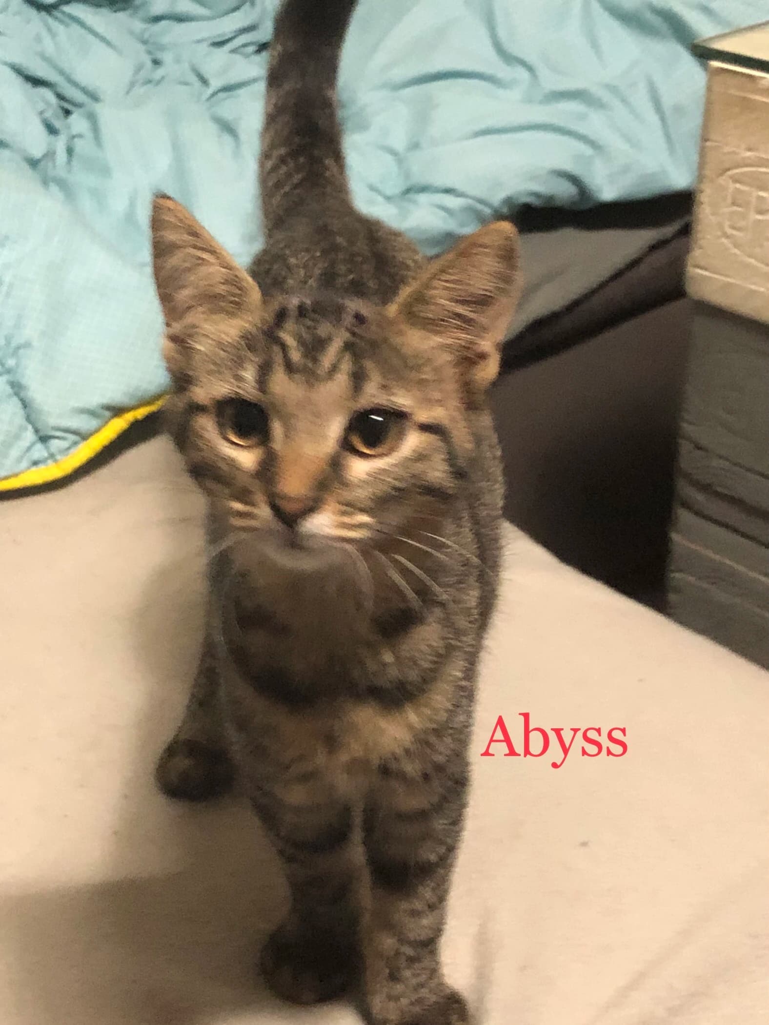 Abyss