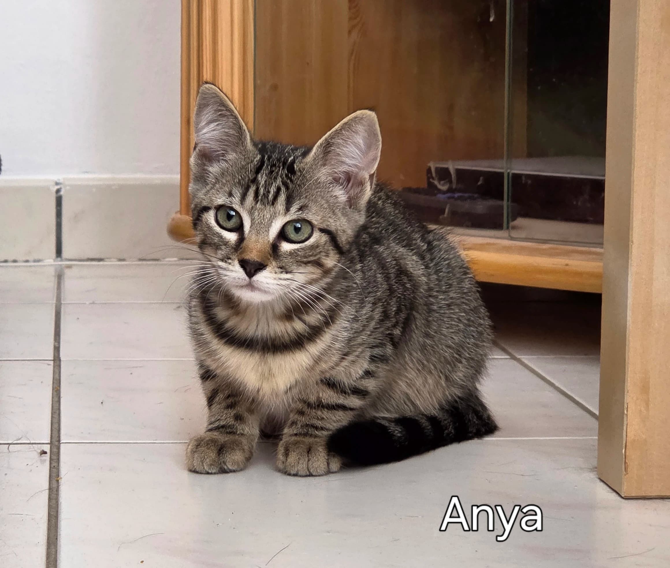 Anya thumbnail 2