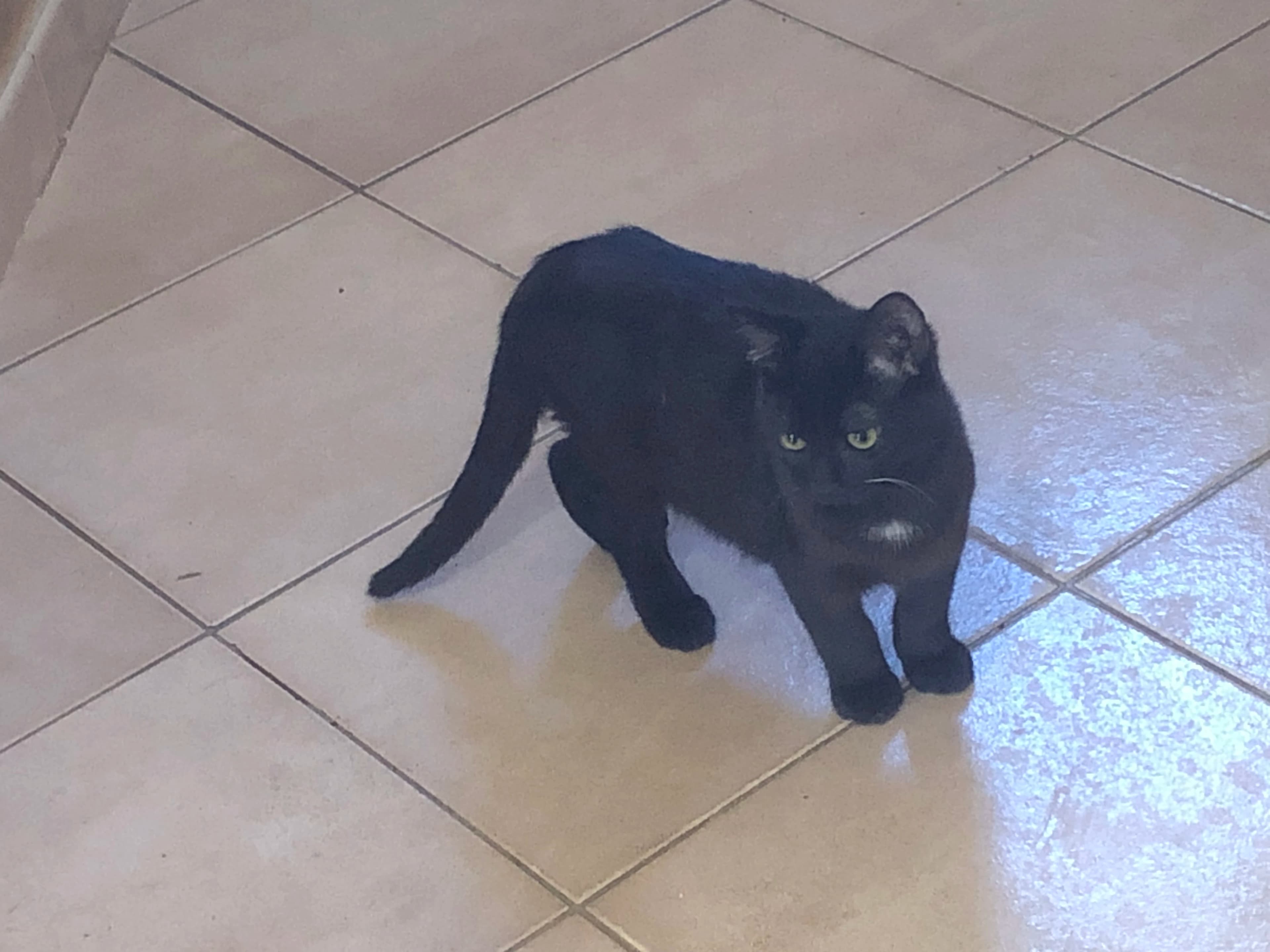 Alan