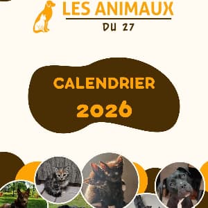 Calendrier 2026 - 12€