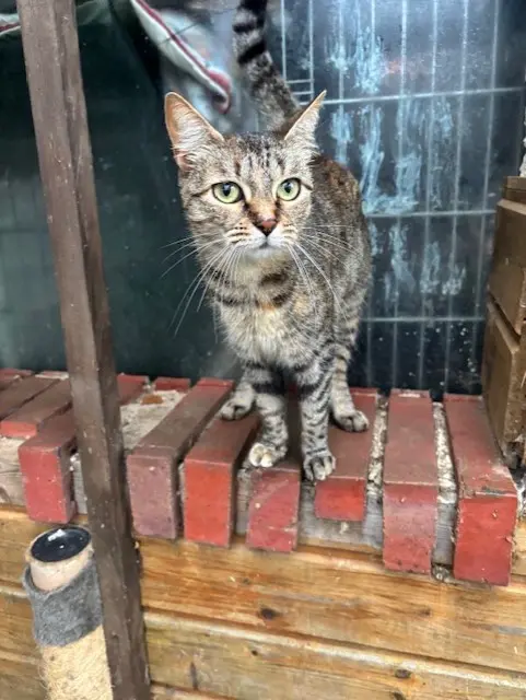 VITA et VELTE thumbnail 2