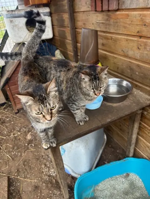 VITA et VELTE thumbnail 3