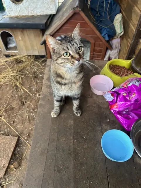 VITA et VELTE thumbnail 4