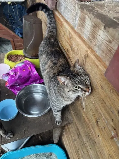 VITA et VELTE thumbnail 5