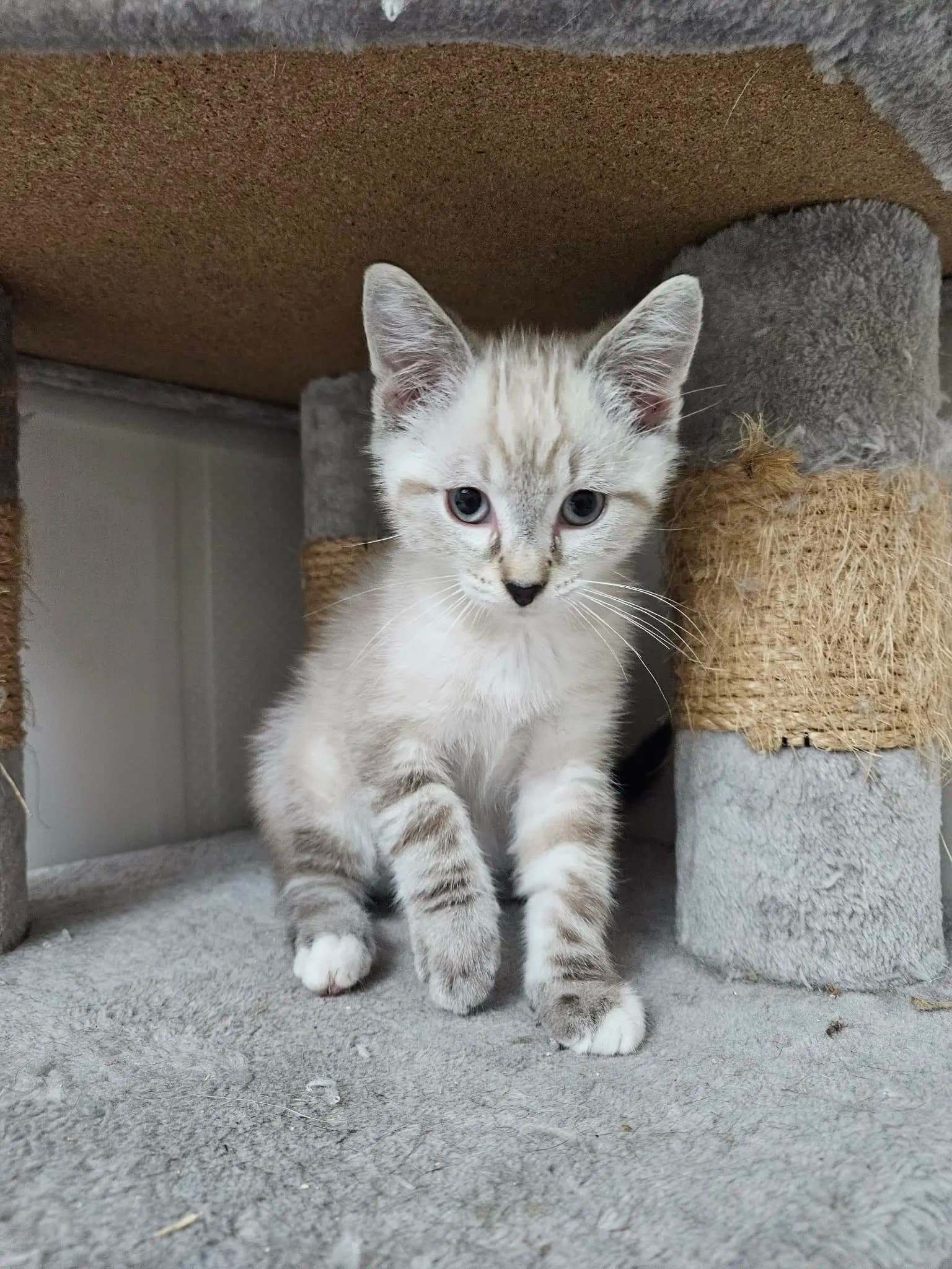 Bali