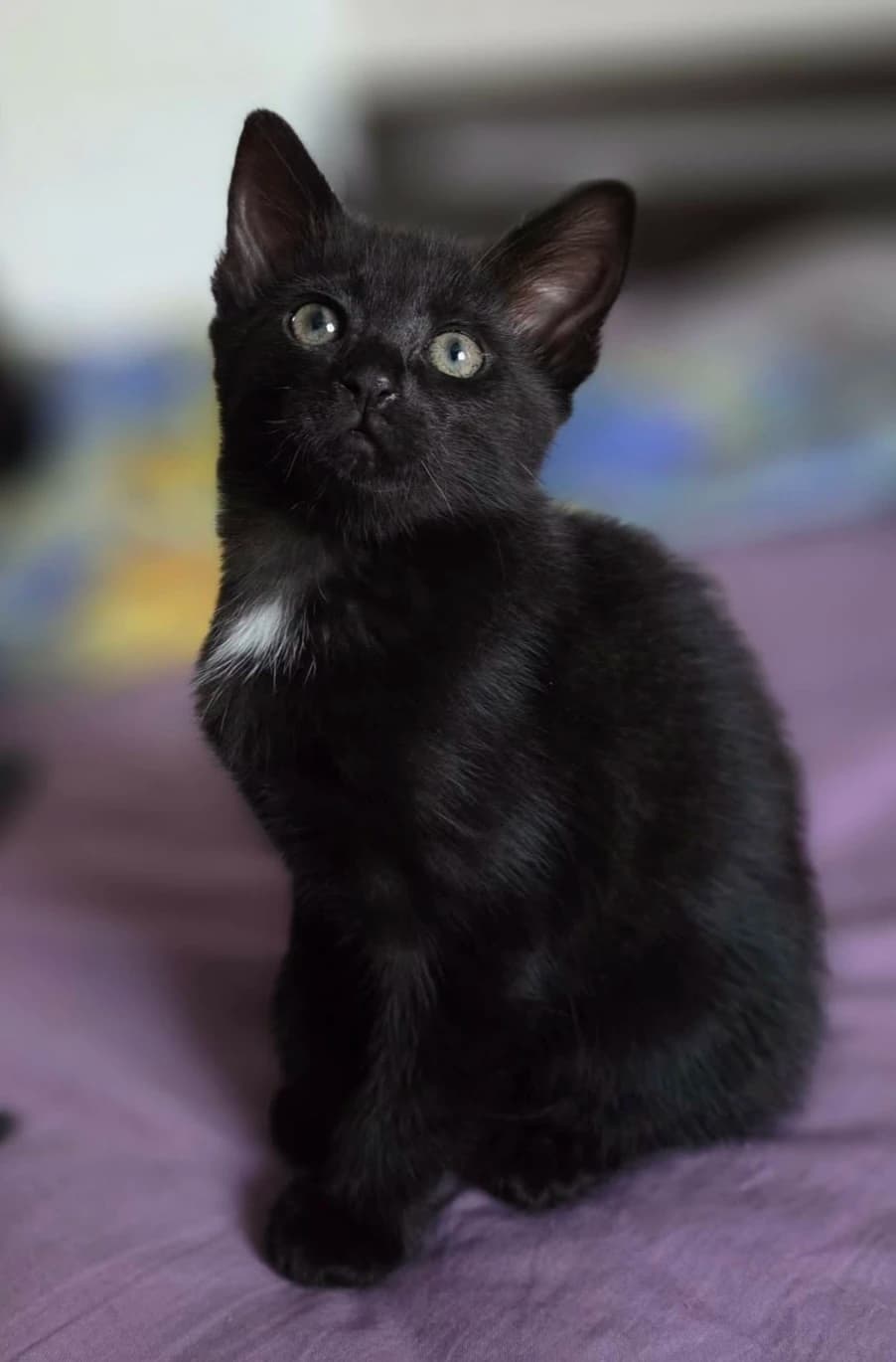 Betty