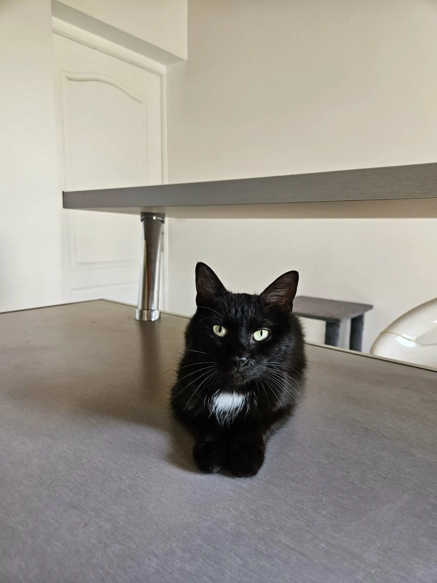 Bertie
