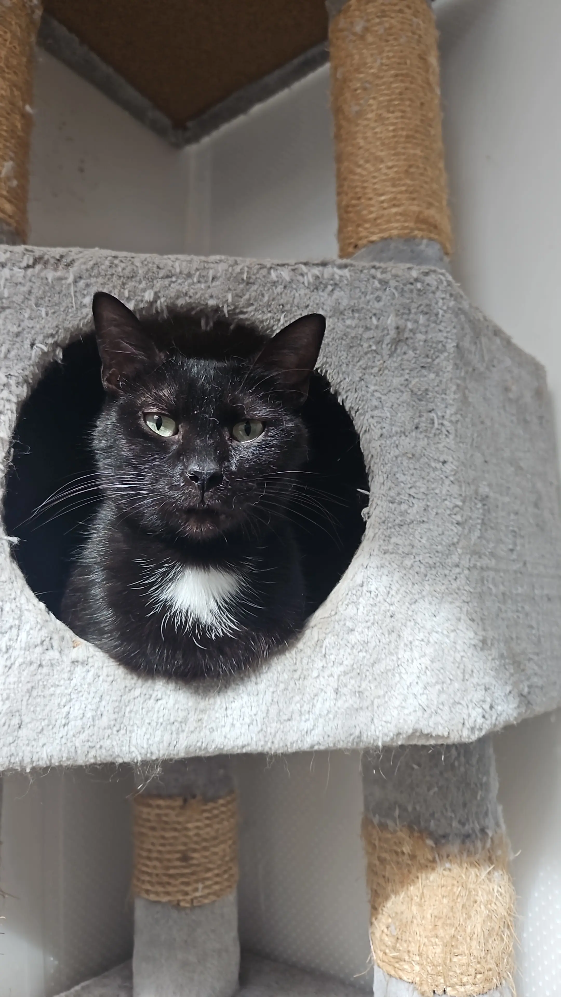 Bertie thumbnail 5